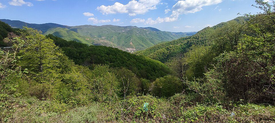 photo2.jpg