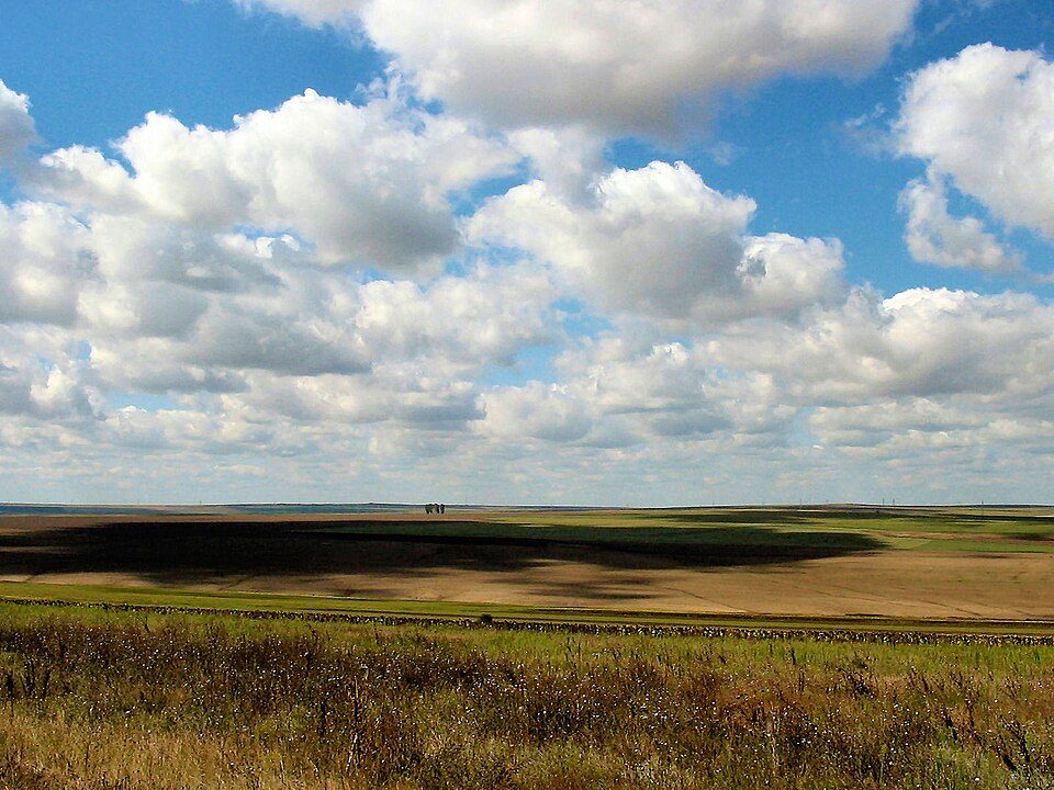 photo1_1.jpg