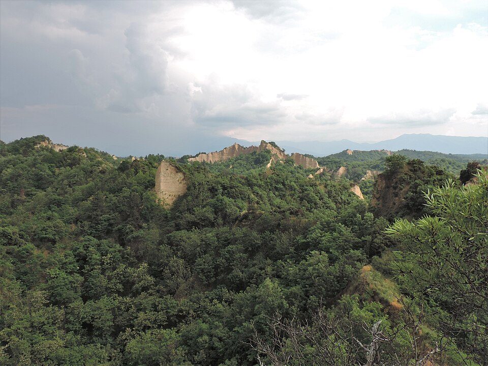 photo2.jpg