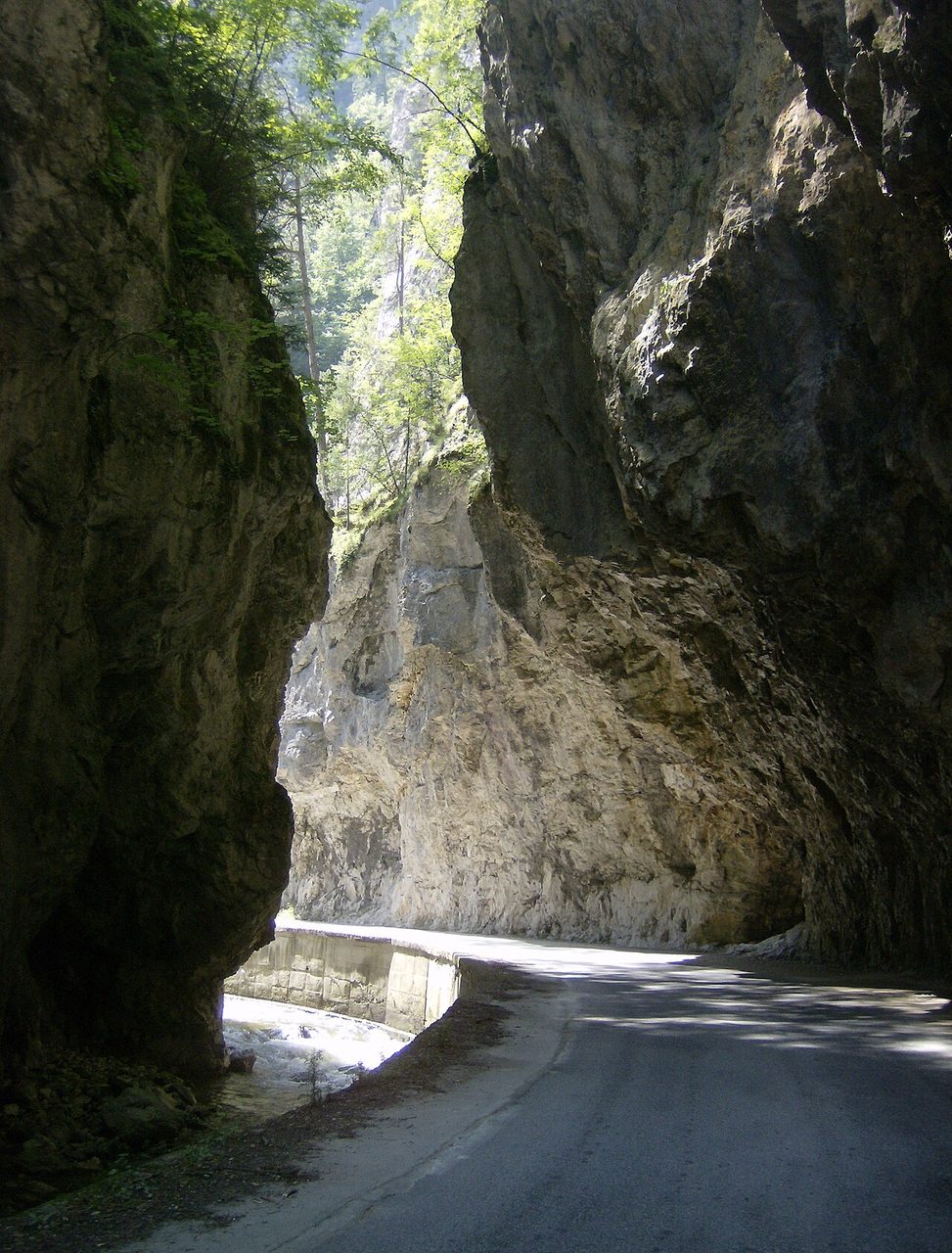 photo2.jpg