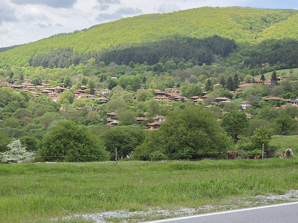 photo2_1.jpg