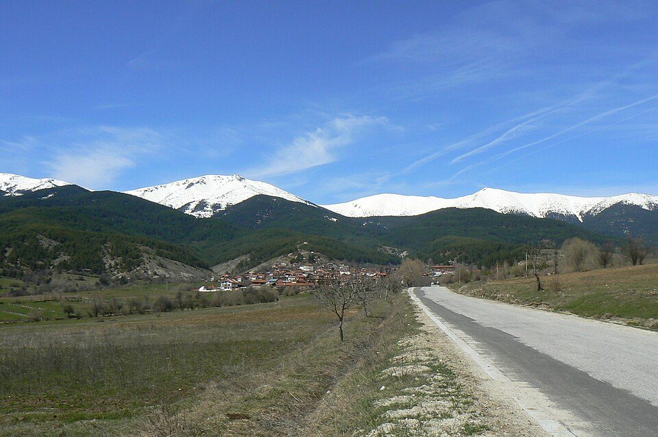 photo1_1.jpg