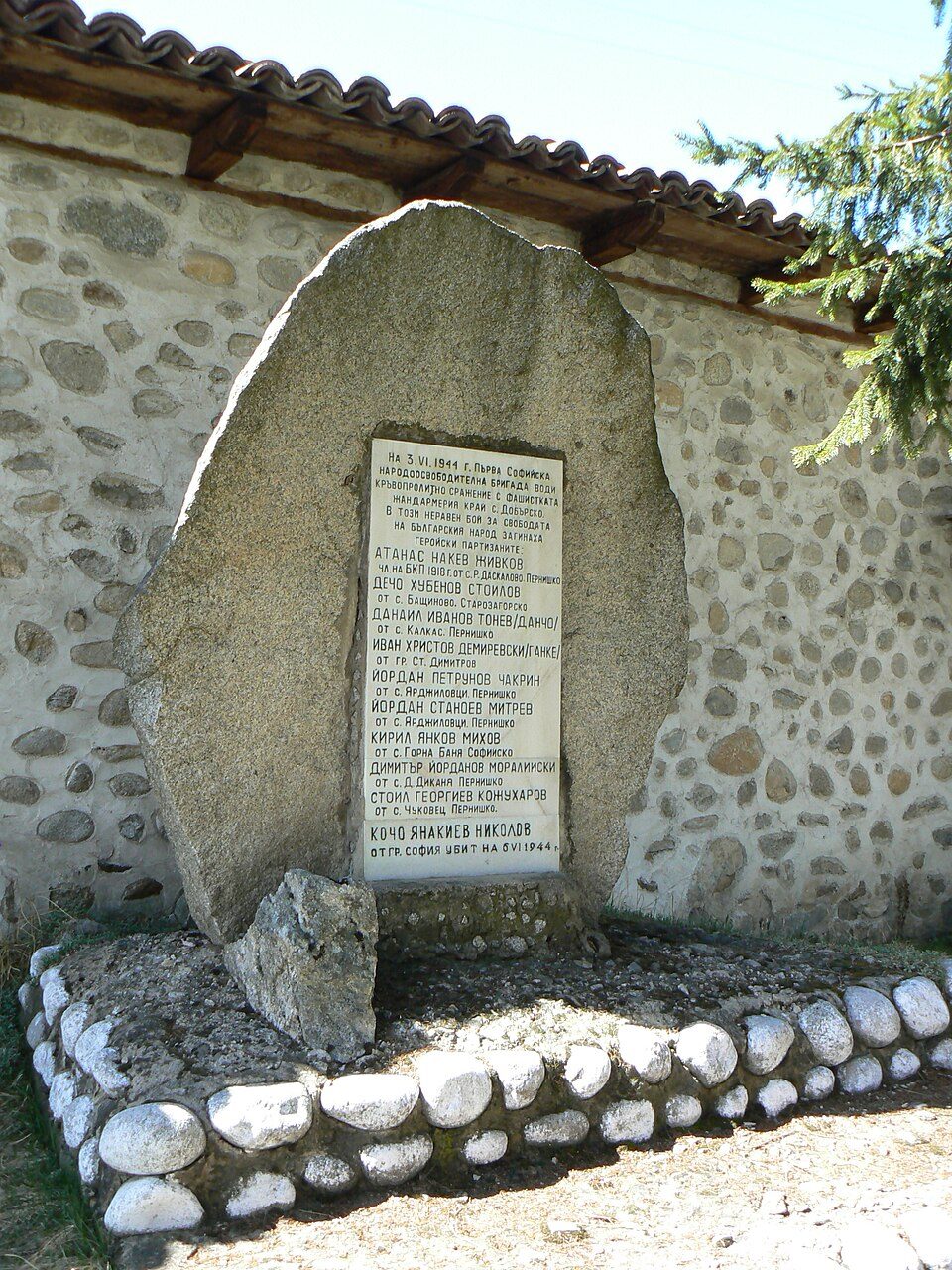 photo2_1.jpg