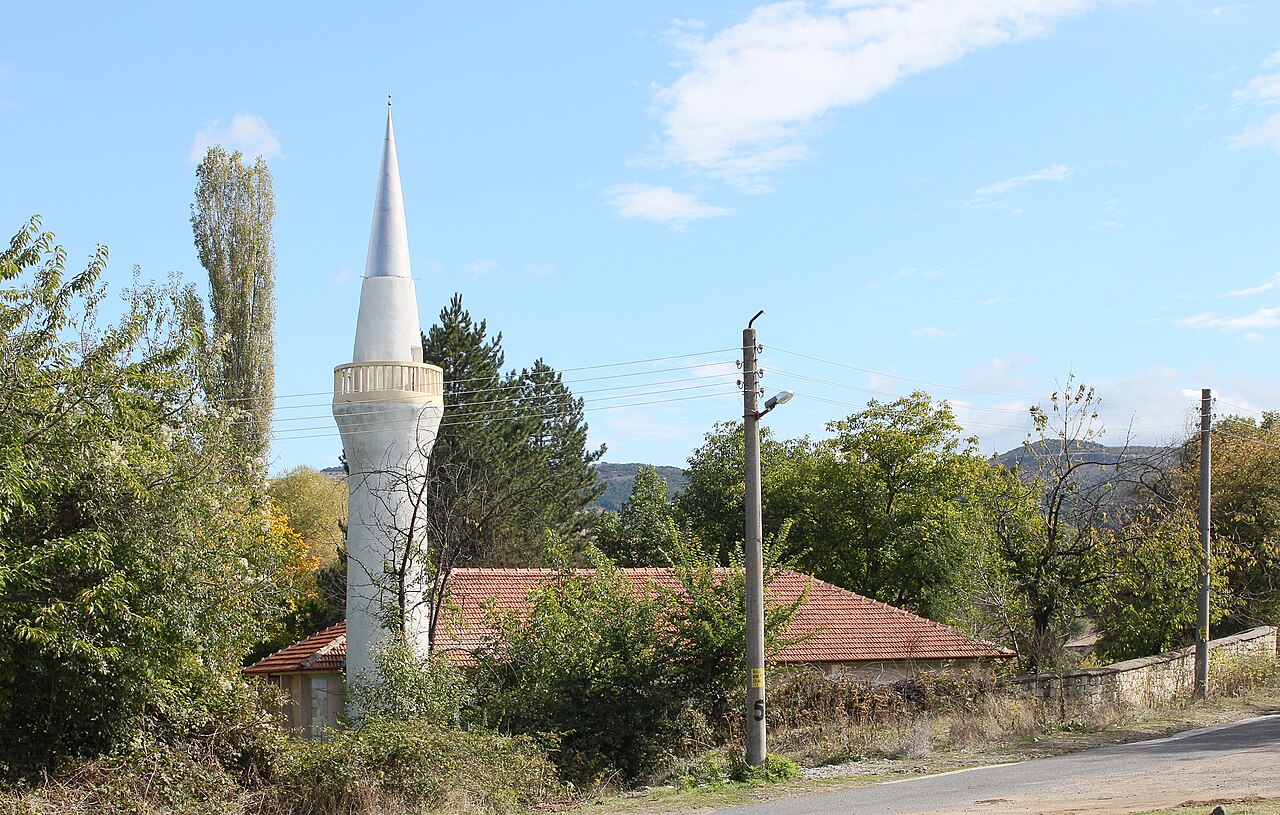 photo2.jpg