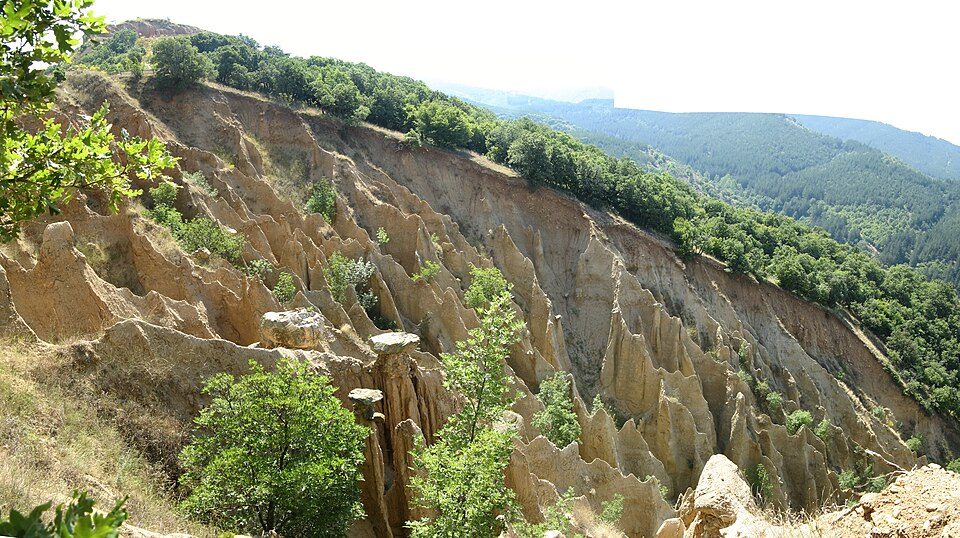 photo1_1.jpg