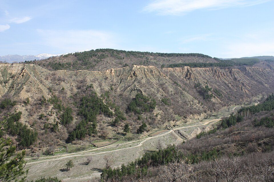 photo2.jpg