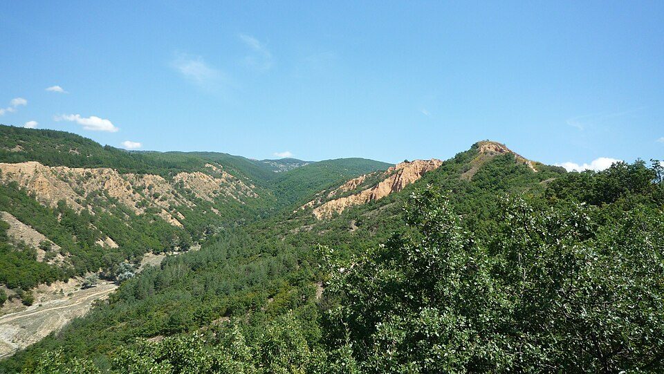 photo2_1.jpg