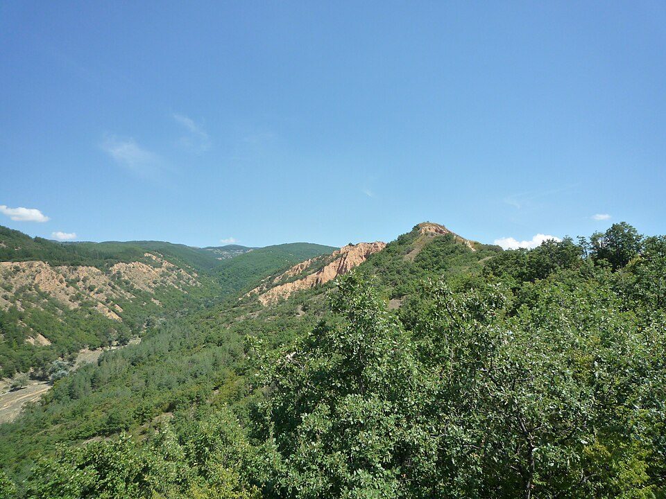 photo3_1.jpg