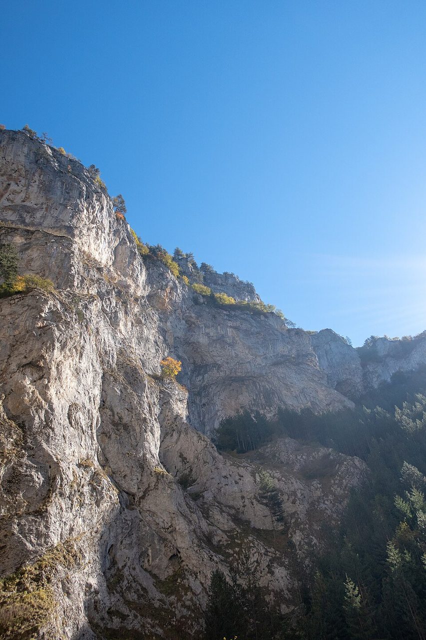 photo2.jpg